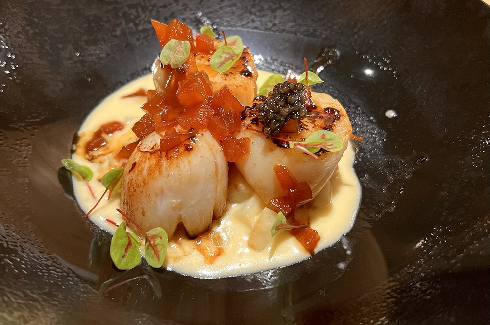 Noix Saint Jacques pour repas gastronomique